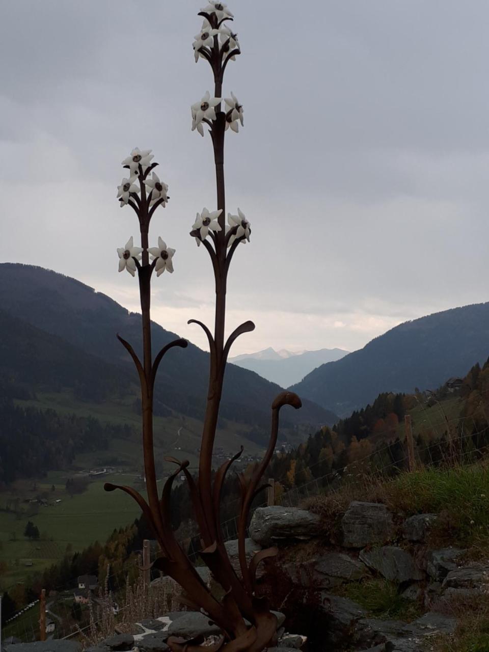 Villa Simonbauerhof à Bad Kleinkirchheim Extérieur photo